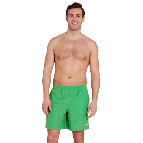 Шорти Zoggs Penrith 17 Shorts ED чоловічі зелені